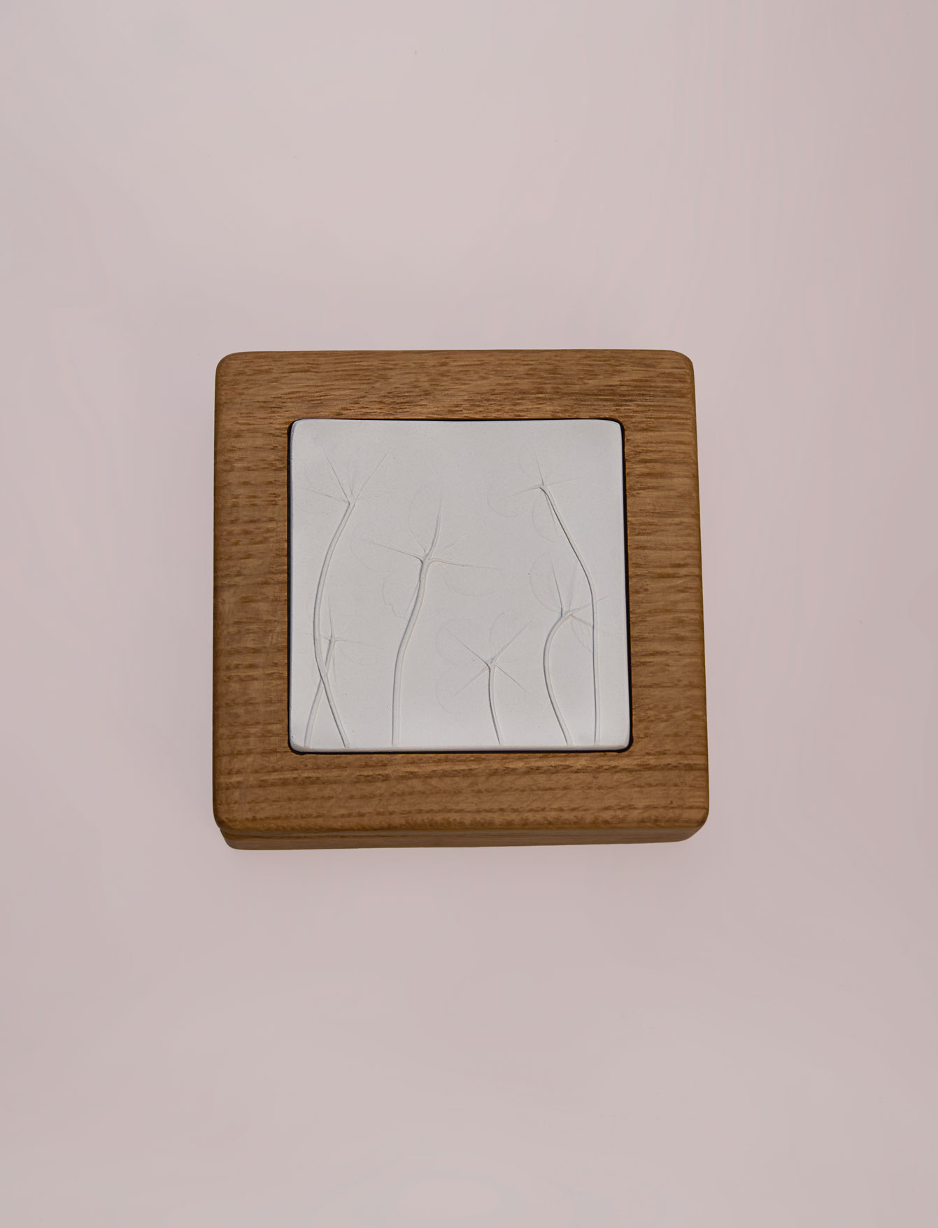 Шкатулка Lucky SOL